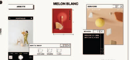 Captura de pantalla de la web desarrollada en WordPress "Melon Blanc"
