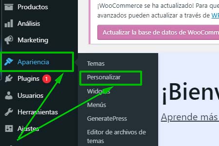 Acceso al personalizador nativo de WordPress