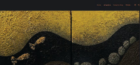 Captura de pantalla de la página portafolio de la web de Sonali Chaudhari